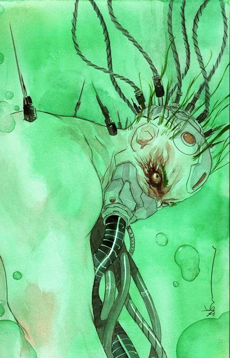 Batman #7 B Dustin Nguyen Card Stock Var - Image