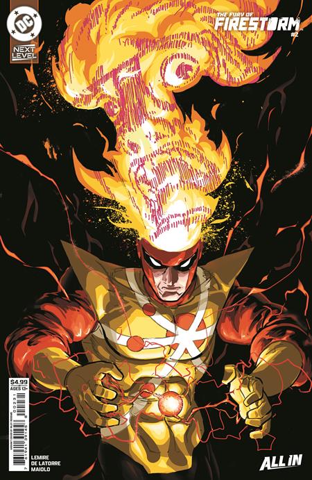 Fury Of Firestorm - Comics - Image - Pop Weasel