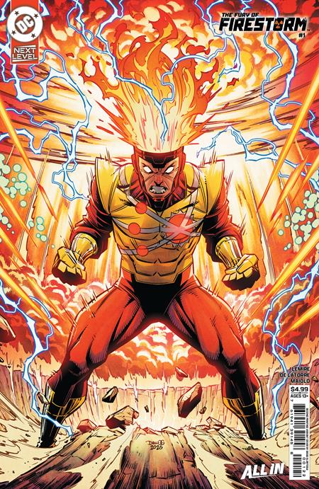 Fury Of Firestorm - Comics - Image - Pop Weasel