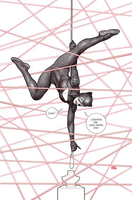 Catwoman #88  B Frank Cho Card Stock Var