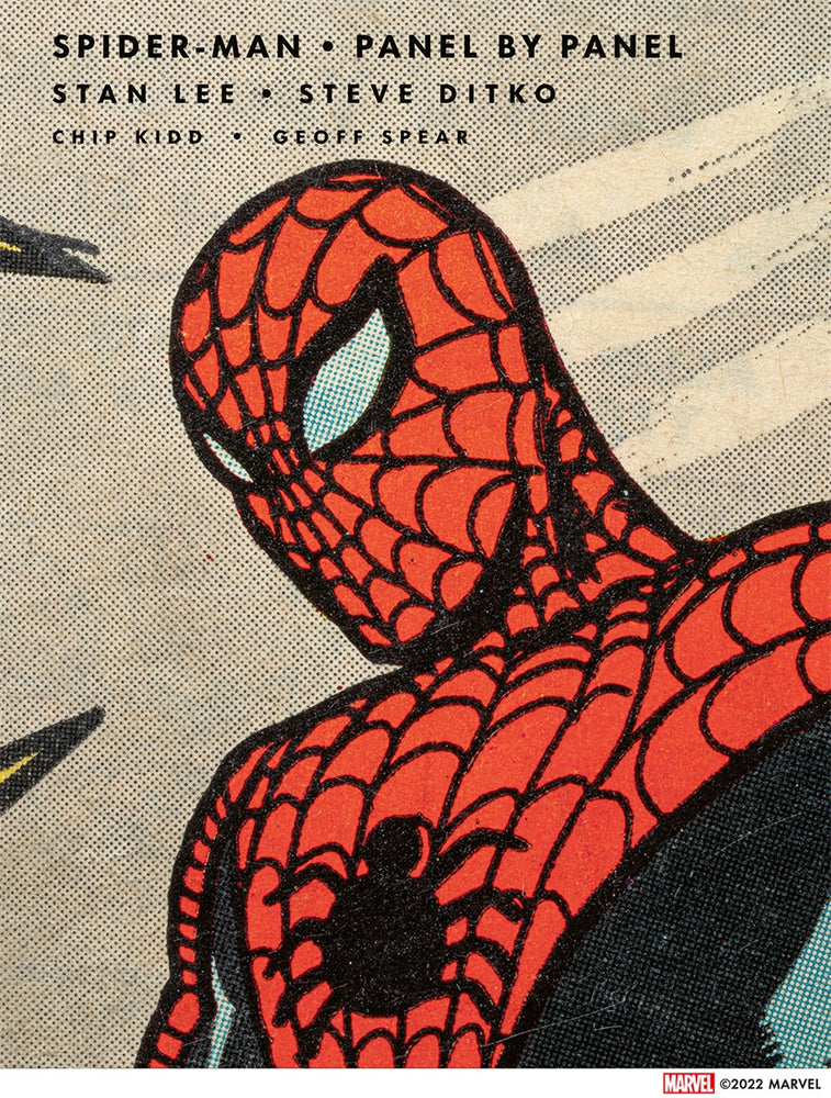 Pop Weasel Image of Spider-Man: Panel by Panel - Graphic Novel - Image - Pop Weasel