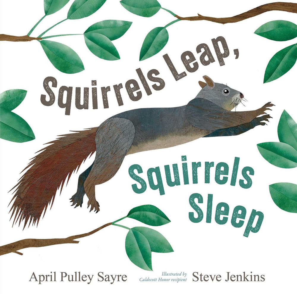 Squirrels Leap, Squirrels Sleep image -  - Image - Pop Weasel