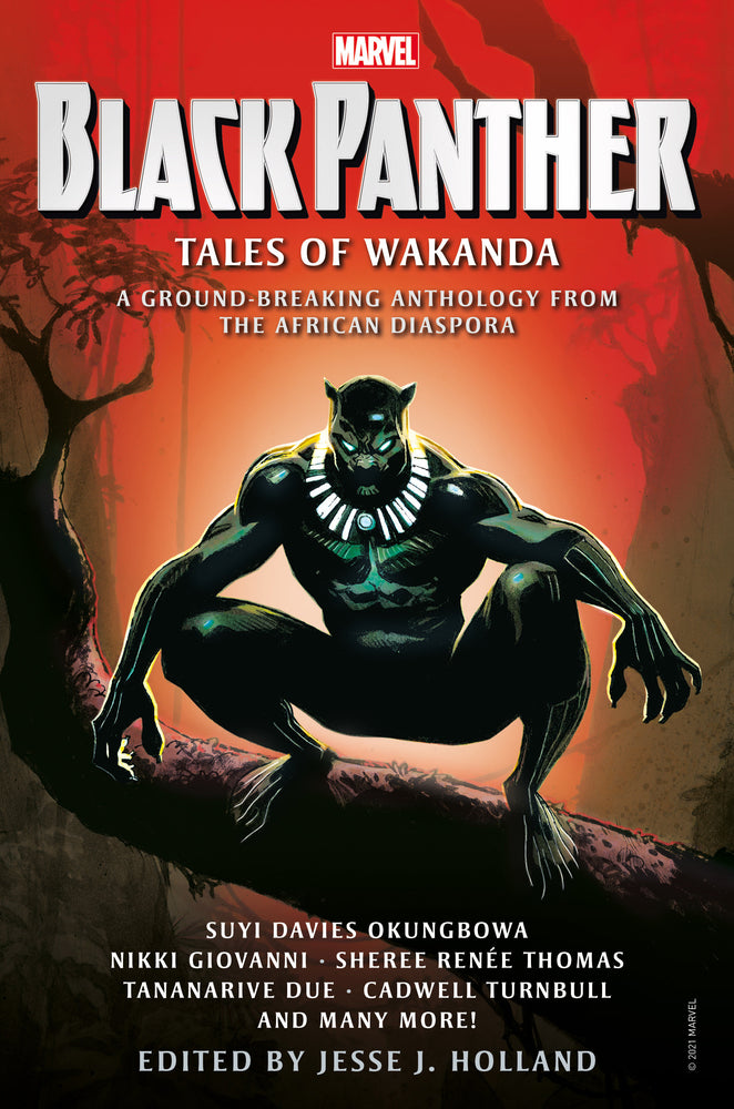 Black Panther: Tales of Wakanda | Hardcover - Image - Books - Image - Pop Weasel
