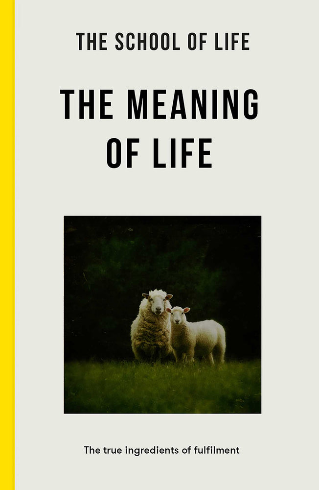 Meaning of Life image - Non-Fiction - Image - Pop Weasel