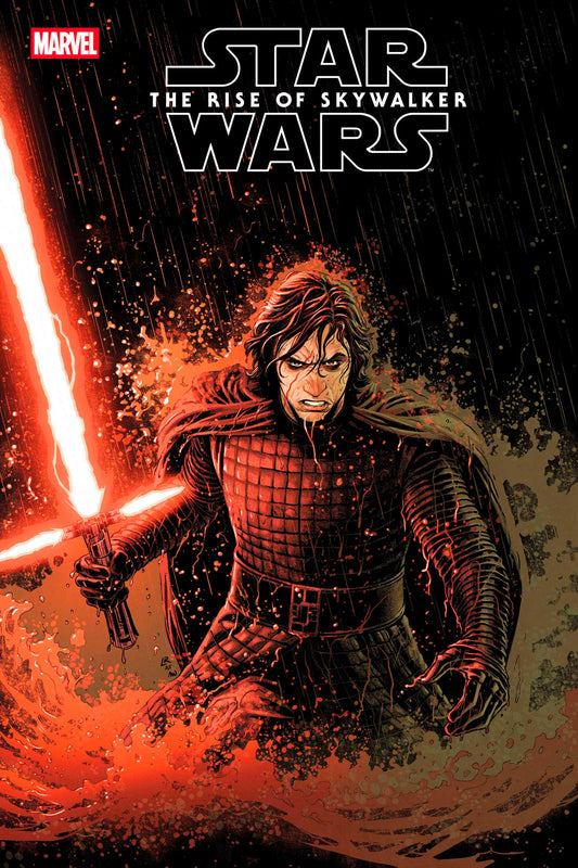 STAR WARS: THE RISE OF SKYWALKER ADAPTATION #4 LUKE ROSS VARIANT - Image