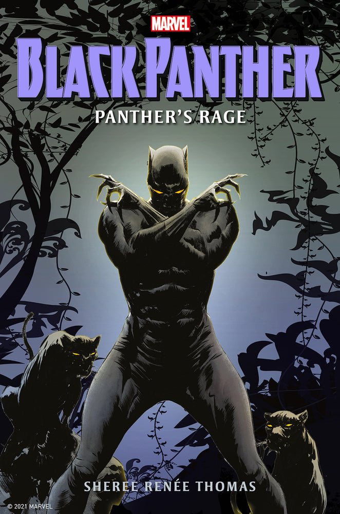 Black Panther: Panther's Rage | Hardcover - Image - Books - Image - Pop Weasel