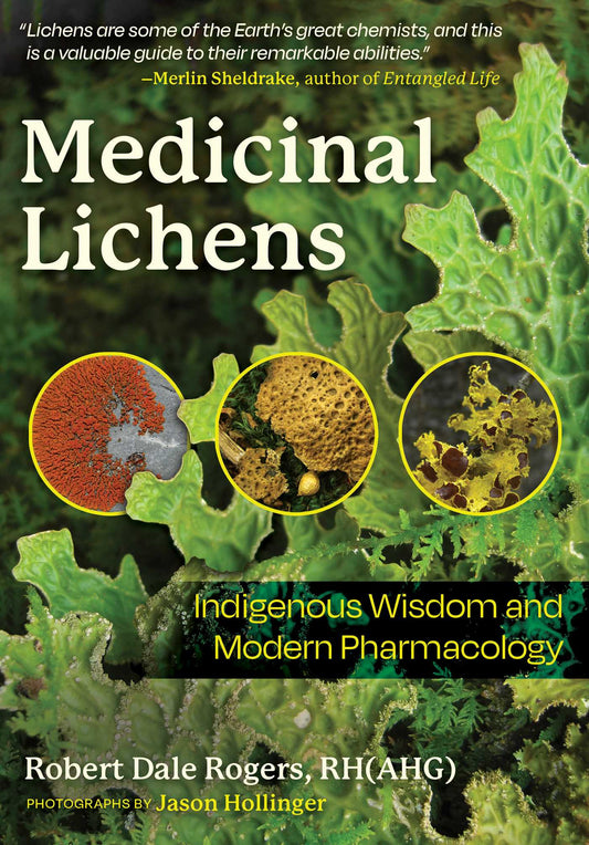 Medicinal Lichens Indigenous Wisdom and Modern Pharmacology image