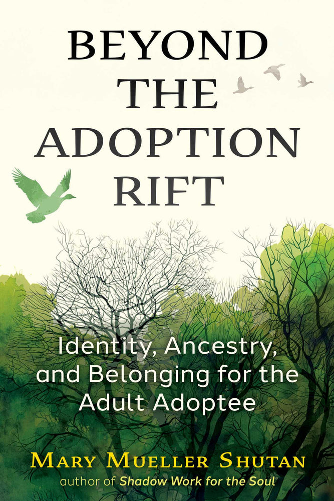 Beyond the Adoption Rift: Identity, Ancestry, and Belonging for the Adult Adoptee - Books - Image - Pop Weasel