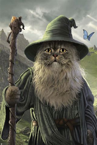 Gandalf Cat - Random Galaxy Poster