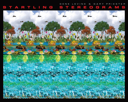 Startling Stereograms image