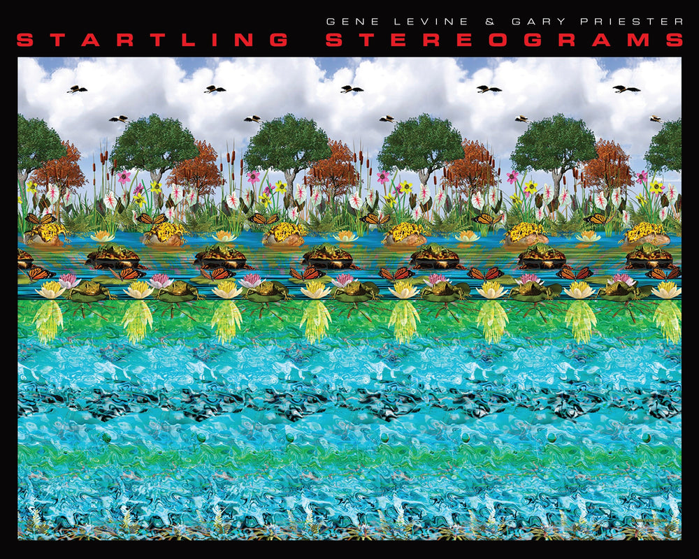 Startling Stereograms image - Books - Image - Pop Weasel