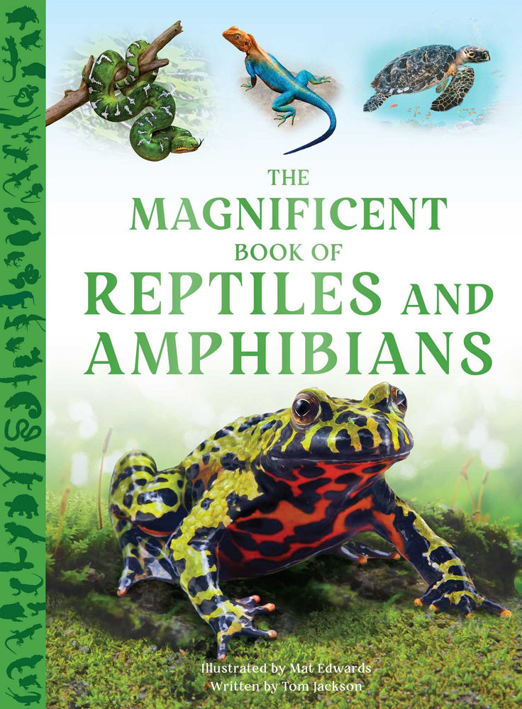The Magnificent Book of Reptiles and Amphibians image -  - Image - Pop Weasel
