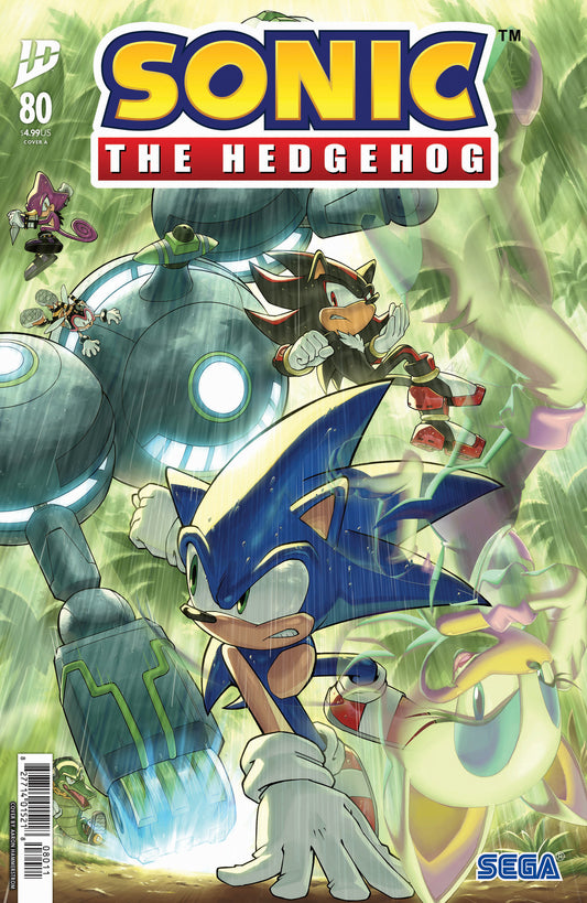 Sonic the Hedgehog #80 Cover A (Hammerstrom) - Image