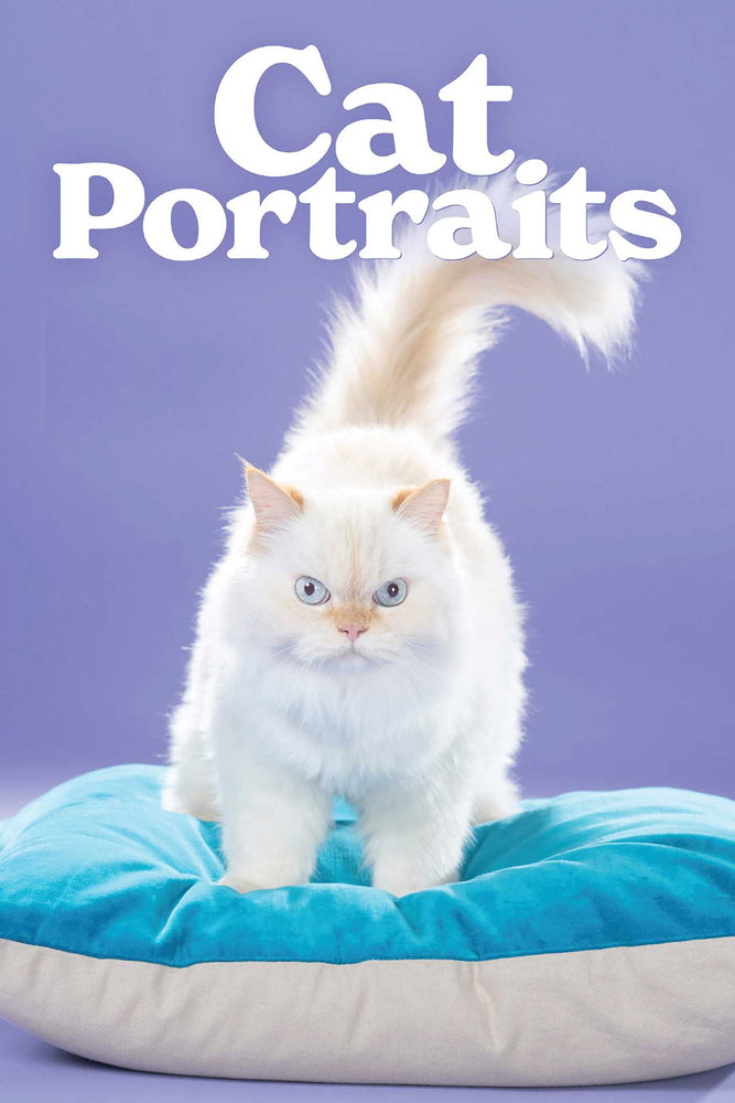 Cat Portraits - Books - Image - Pop Weasel