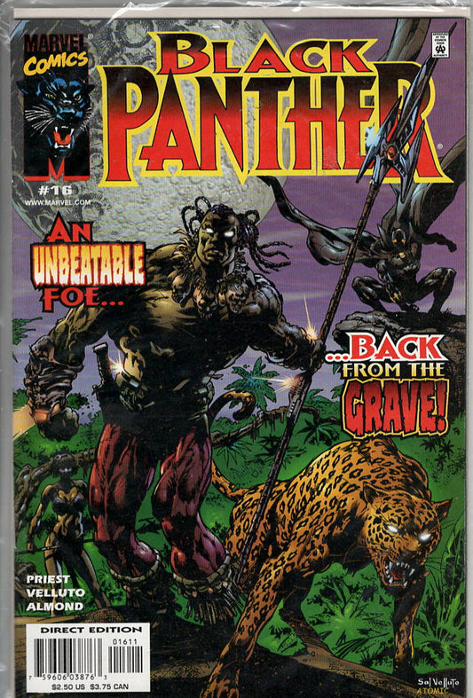 Pre-Owned - Black Panther #16  (March 2000)