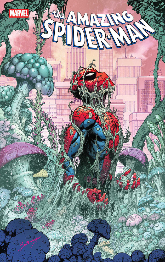AMAZING SPIDER-MAN - Comics - Image - Pop Weasel