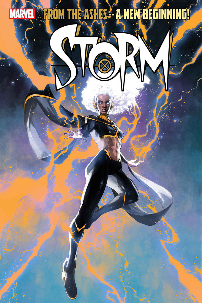 STORM - Comics - Image - Pop Weasel