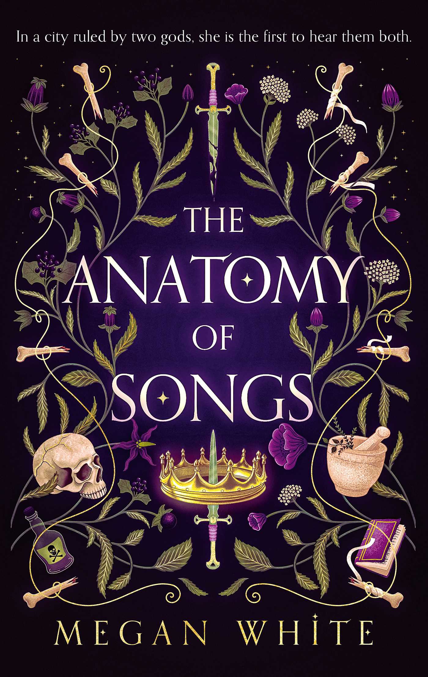 The Anatomy of Songs image