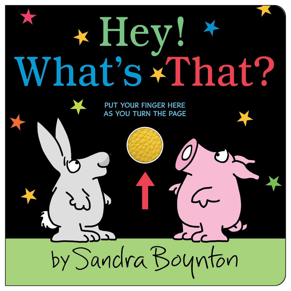 Hey! What's That? - Childrens Books - Image - Pop Weasel