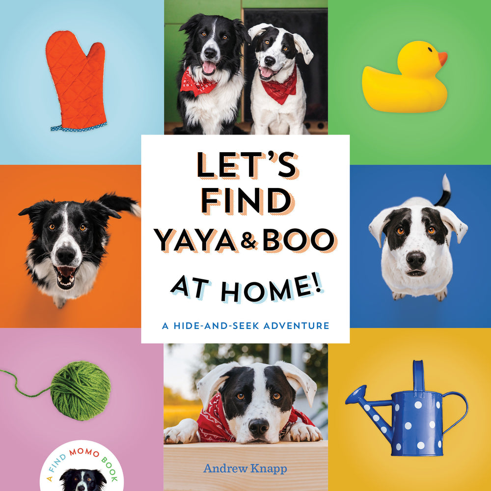 Let's Find Yaya and Boo at Home! image - Books - Image - Pop Weasel
