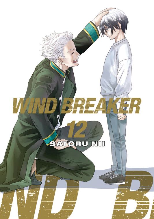 WIND BREAKER 12 - Image