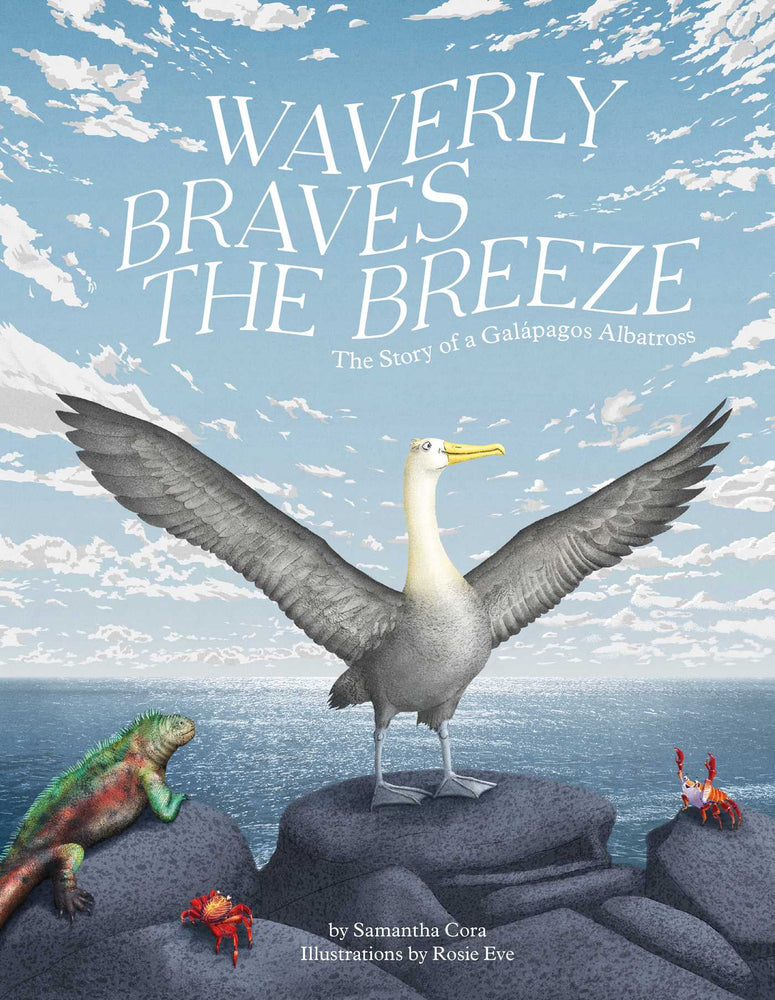 Waverly Braves the Breeze: The Story of a Galapagos Albatross (Friendship Books for Kids, Kids Book about Fear) - Childrens Books - Image - Pop Weasel