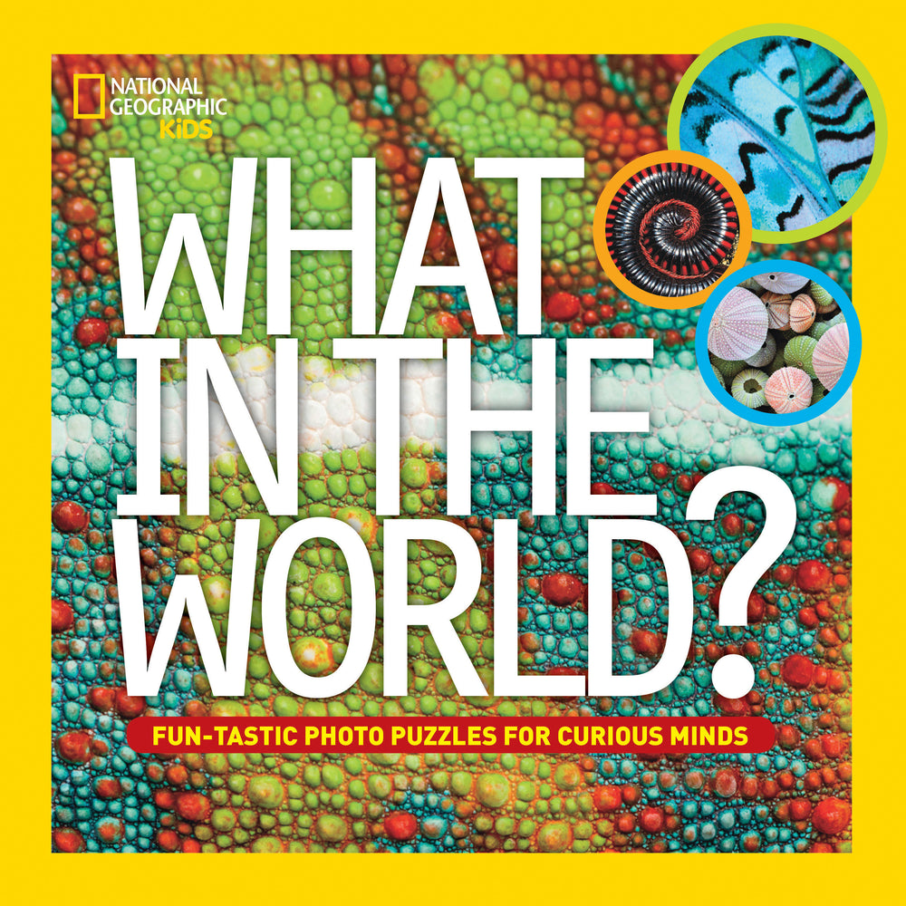 What in the World? | Hardcover image - Children/Young Adult - Image - Pop Weasel