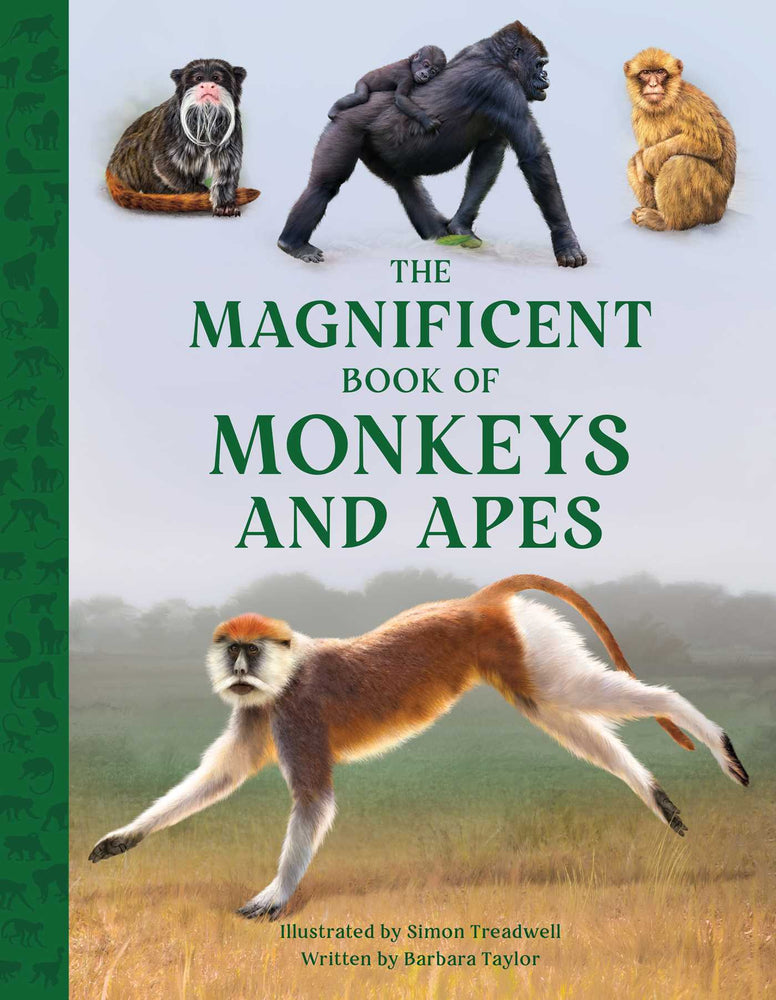 The Magnificent Book of Monkeys and Apes - Childrens Books - Image - Pop Weasel