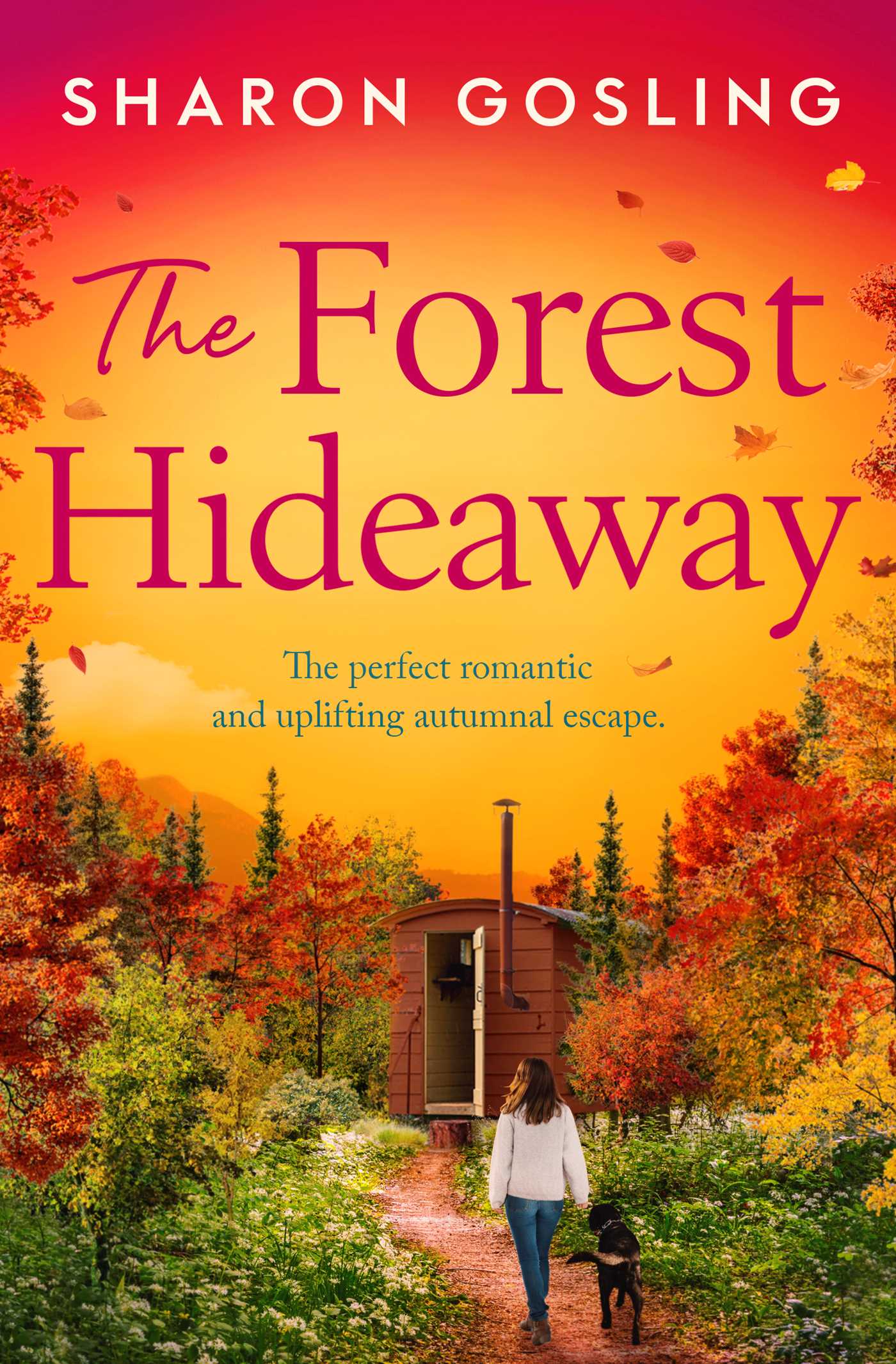 The Forest Hideaway Enjoy 'the perfect autumn escape' from the author of The Lighthouse Bookshop image