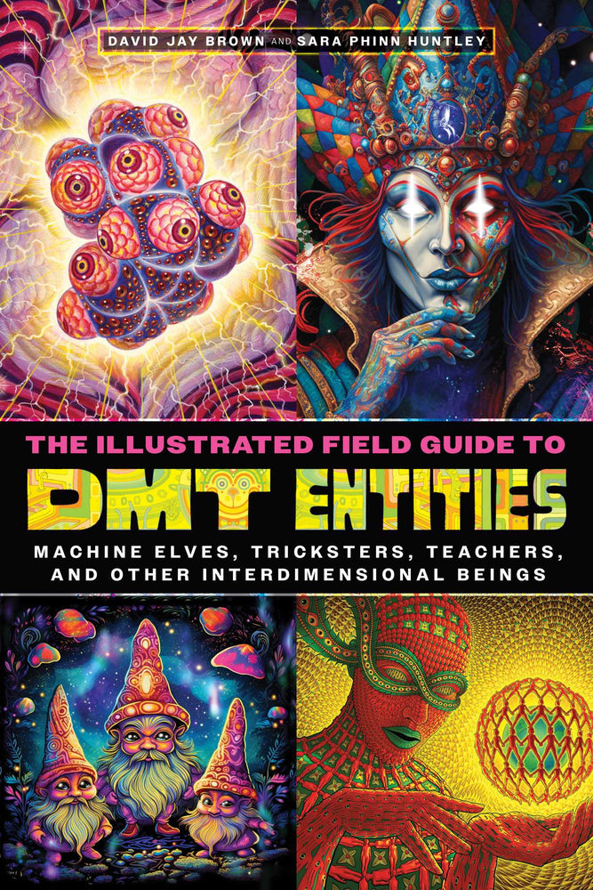 The Illustrated Field Guide to DMT Entities Machine Elves, Tricksters, Teachers, and Other Interdimensional Beings image - Non-Fiction - Image - Pop Weasel