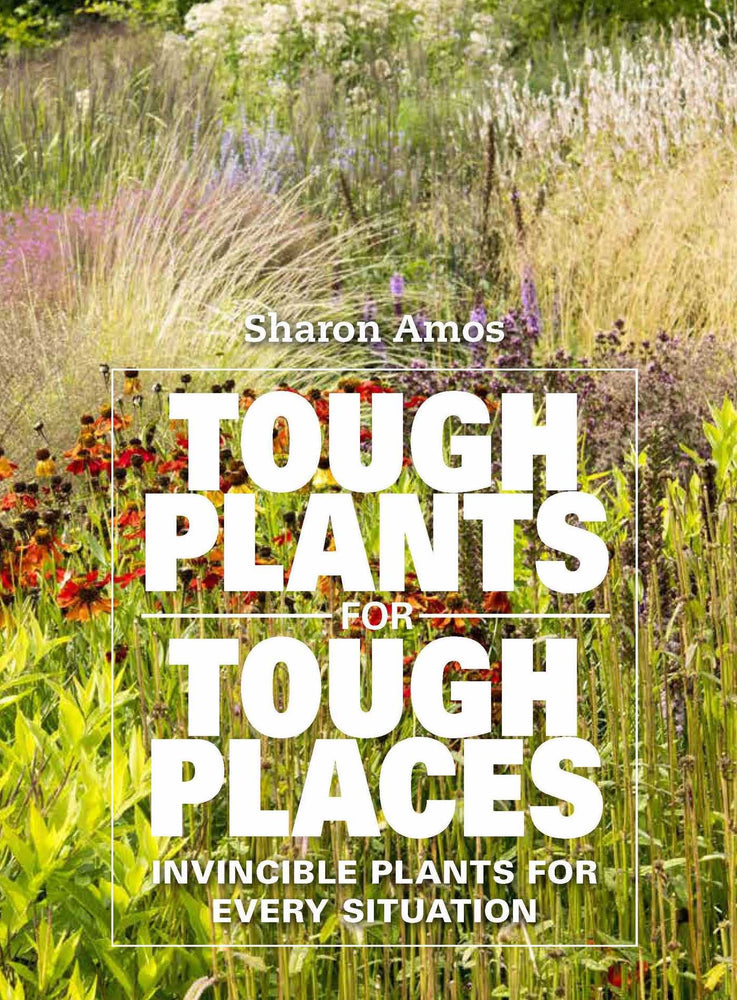 Tough Plants for Tough Places - Books - Image - Pop Weasel