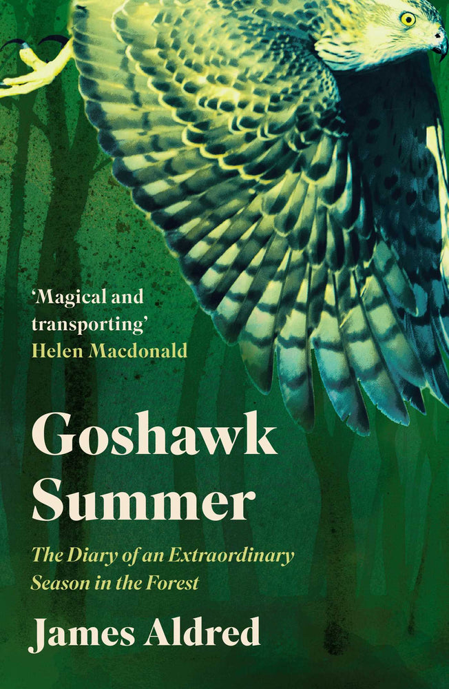 Goshawk Summer: The Diary of an Extraordinary Season in the Forest - Books - Image - Pop Weasel