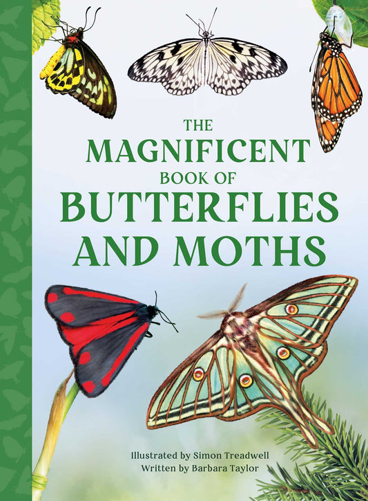 The Magnificent Book of Butterflies & Moths image