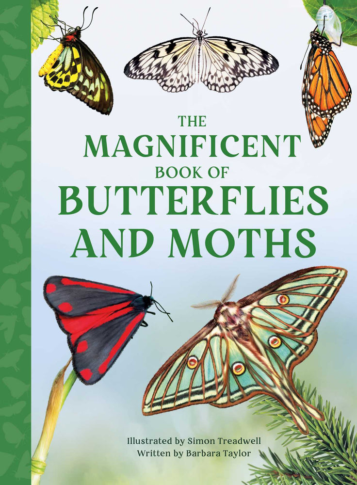 The Magnificent Book of Butterflies & Moths image -  - Image - Pop Weasel