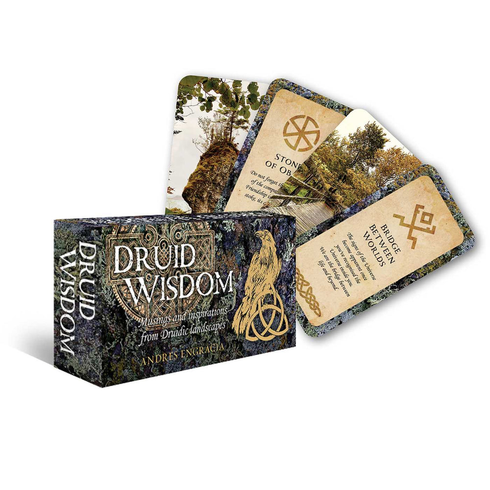 Druid Wisdom - Books - Image - Pop Weasel