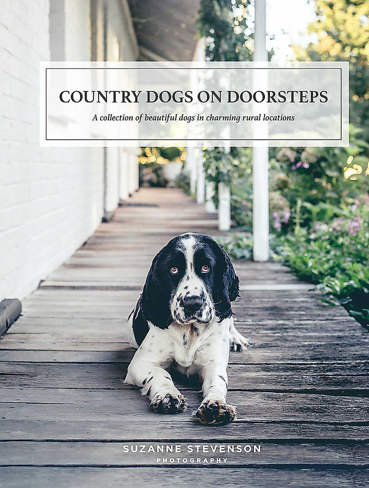 Country Dogs on Doorsteps - Books - Image - Pop Weasel