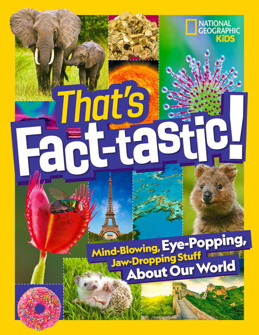 That's Fact-tastic! | Hardcover image