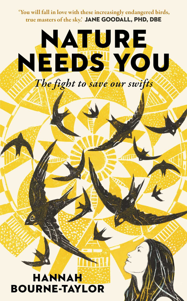 Nature Needs You The Fight to Save Our Swifts image - Non-Fiction - Image - Pop Weasel
