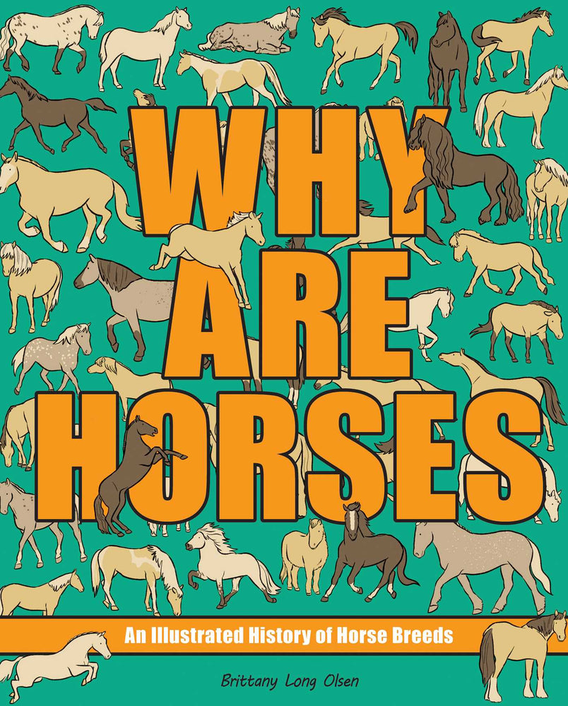 Why Are Horses: An Illustrated History of Horse Breeds - Childrens Books - Image - Pop Weasel