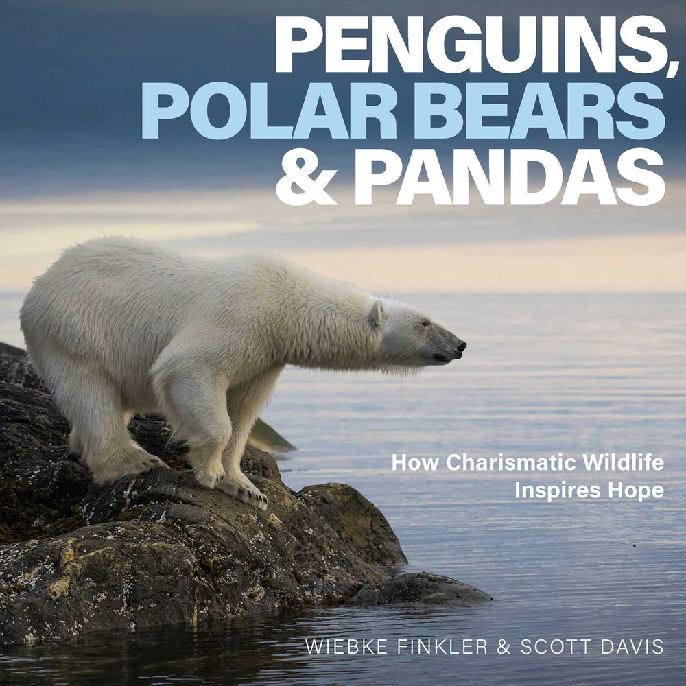 Penguins, Polar Bears & Pandas: How Charismatic Wildlife Inspires Hope - Books - Image - Pop Weasel