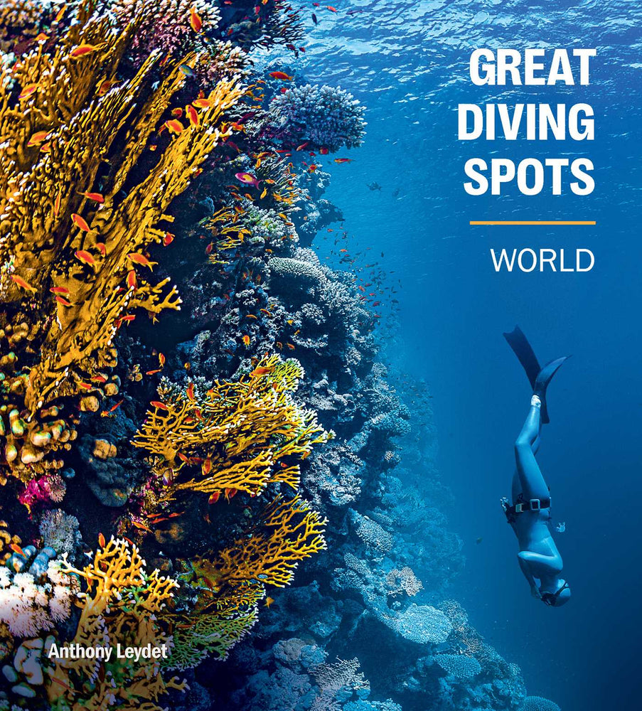 Great Diving Spots - World - Books - Image - Pop Weasel