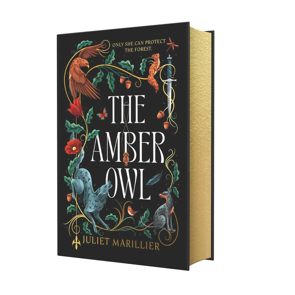 The Amber Owl: Deluxe Limited Edition - Books - Image - Pop Weasel