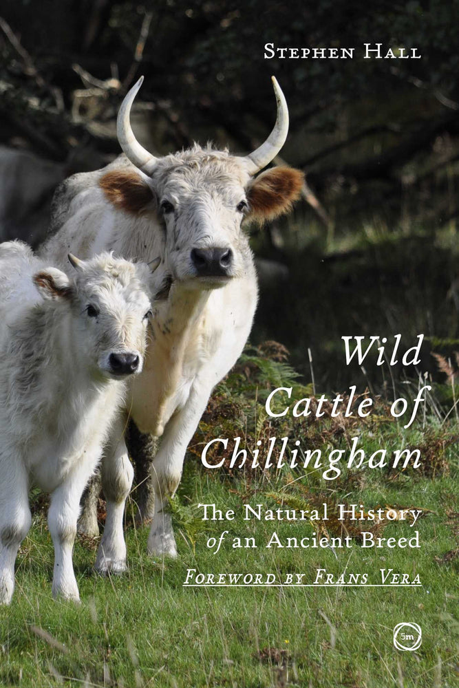 Wild Cattle of Chillingham: The Natural History of an Ancient Breed - Books - Image - Pop Weasel