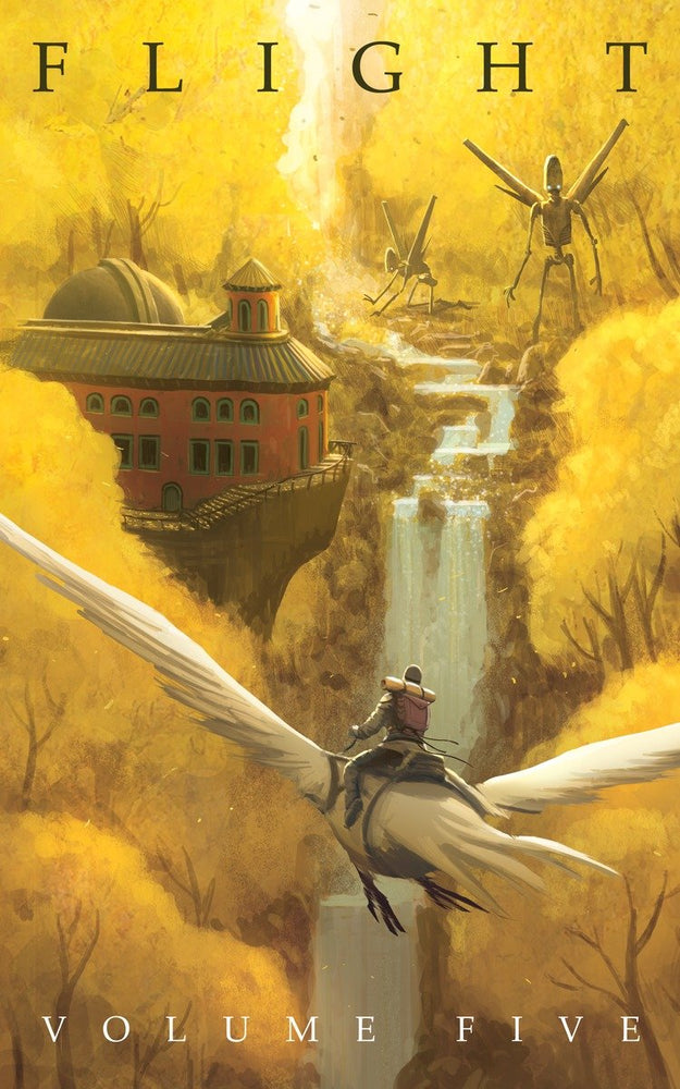 Flight Volume Five - Graphic Novels - Image - Pop Weasel