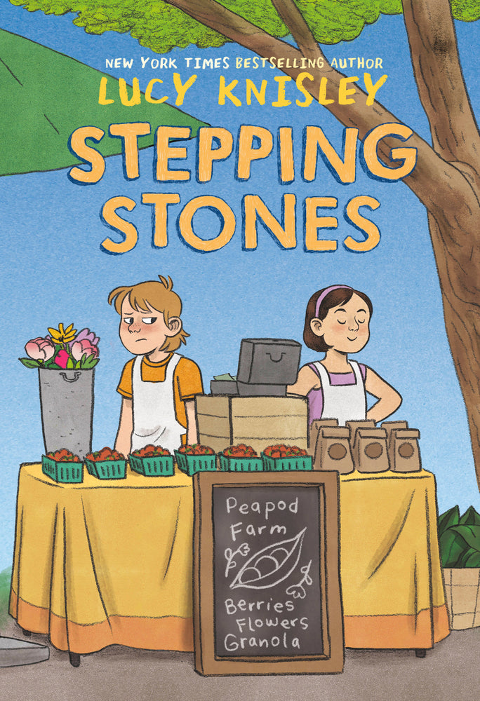 Stepping Stones | Hardcover - Graphic Novels - Image - Pop Weasel