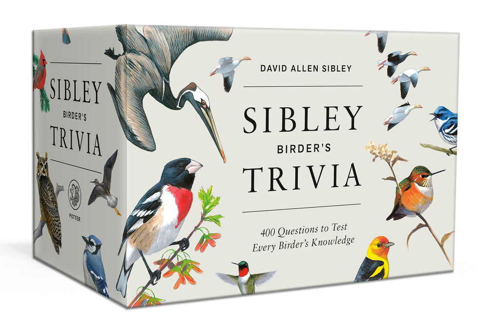 Sibley Birder's Trivia: A Card Game - Cards - Image - Pop Weasel