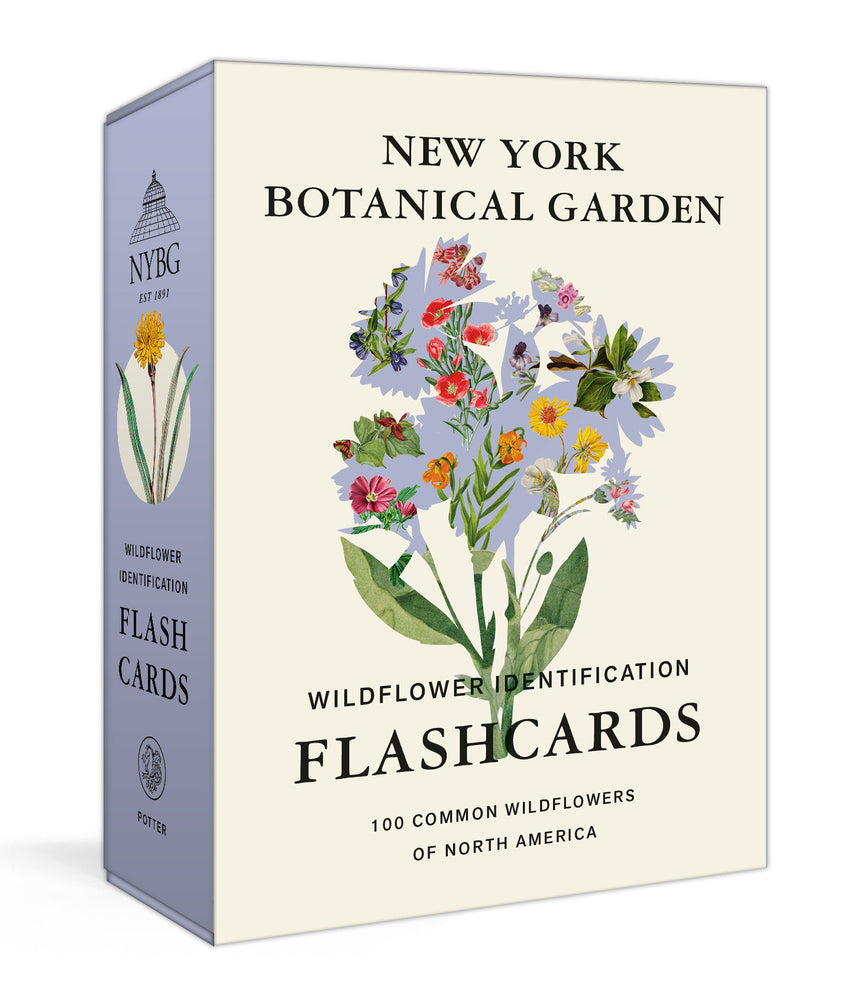 New York Botanical Garden Wildflower Identification Flashcards - Cards - Image - Pop Weasel