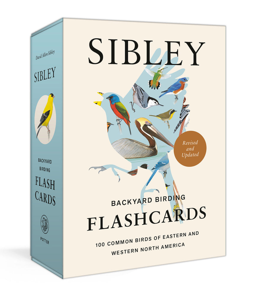 Sibley Backyard Birding Flashcards, Revised and Updated - Cards - Image - Pop Weasel