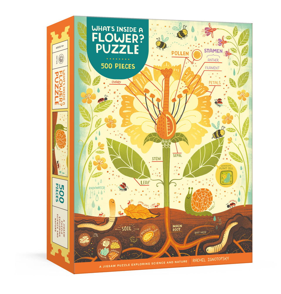 What's Inside a Flower? Puzzle - Board Games - Image - Pop Weasel