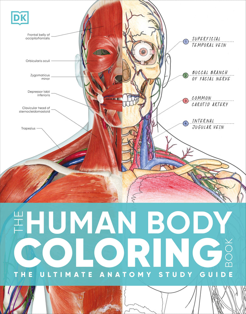 The Human Body Coloring Book - Books - Image - Pop Weasel